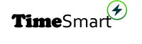 TimeSmart: Timeliness of Information in Smart Grids Networks logo